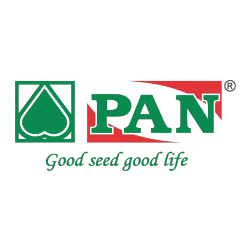 Partner Logo